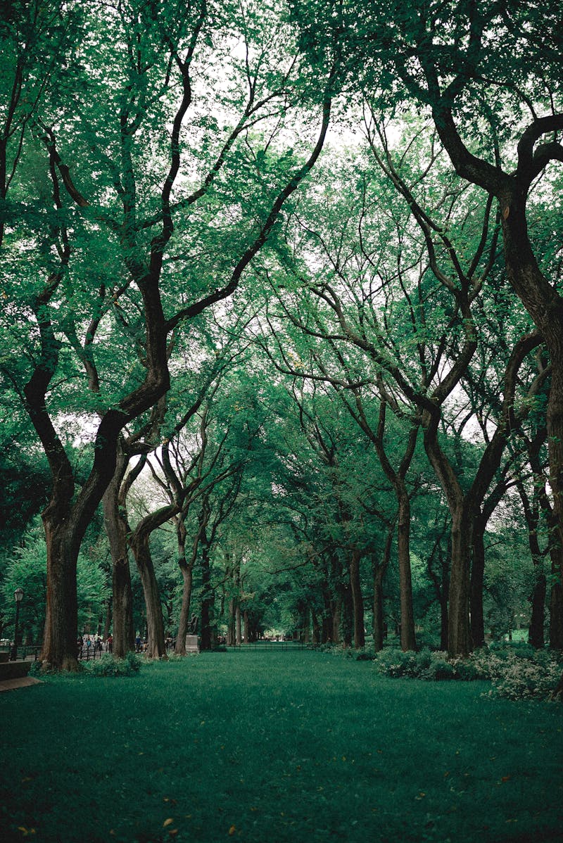 萍鄉, Jiangxi